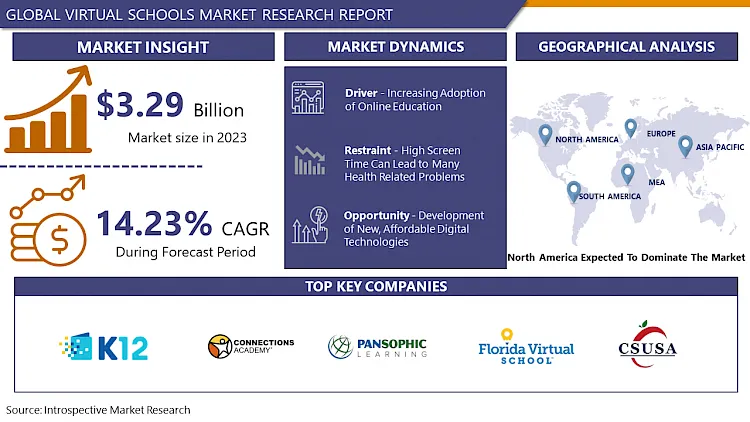 Virtual Schools Market