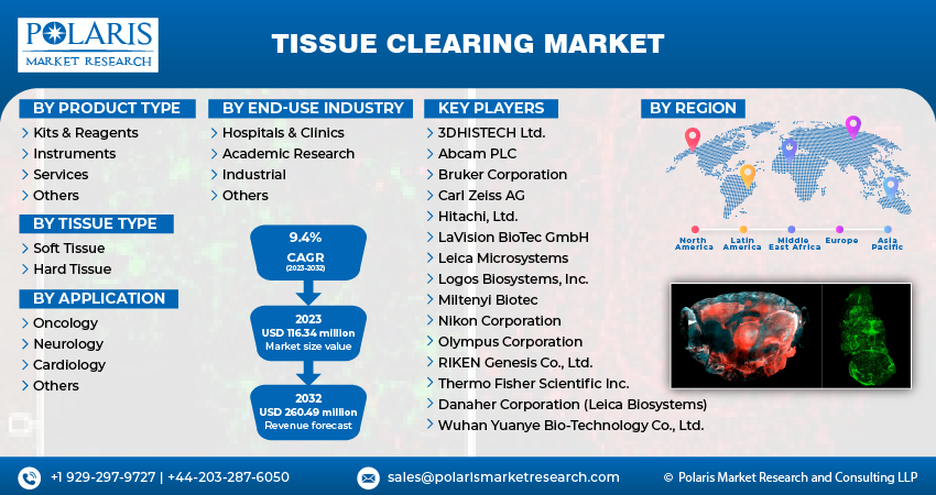 Tissue Clearing Market
