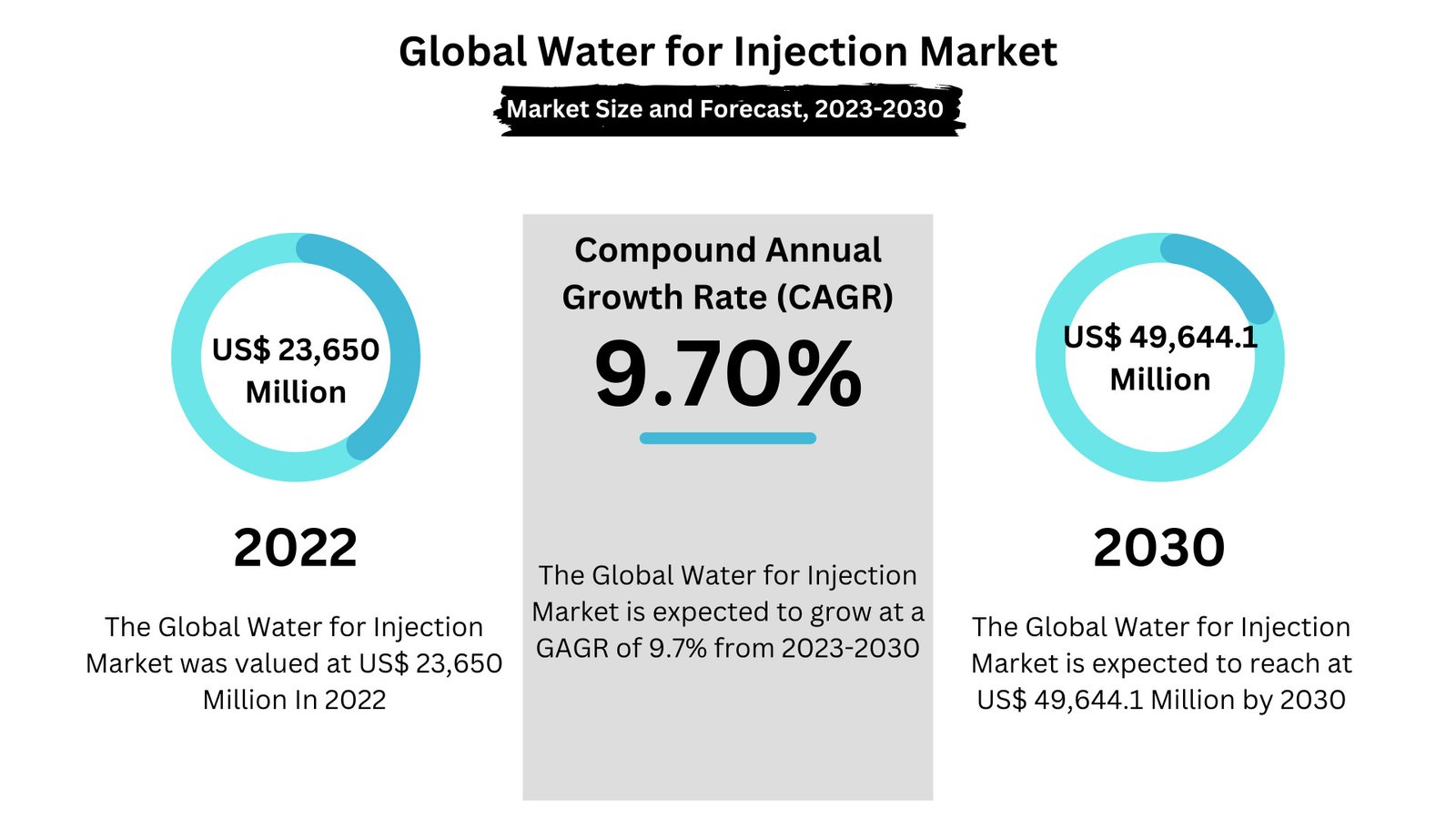 Water for Injection Market